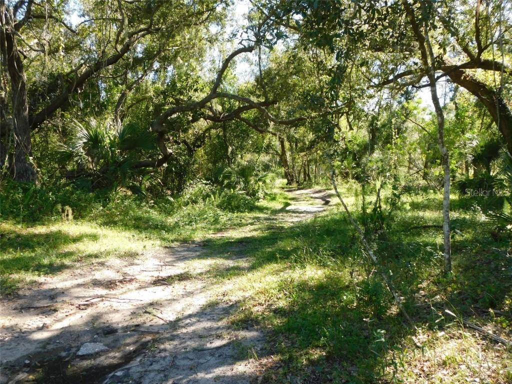 2221 NW Pine View Rd., Arcadia, FL 34266