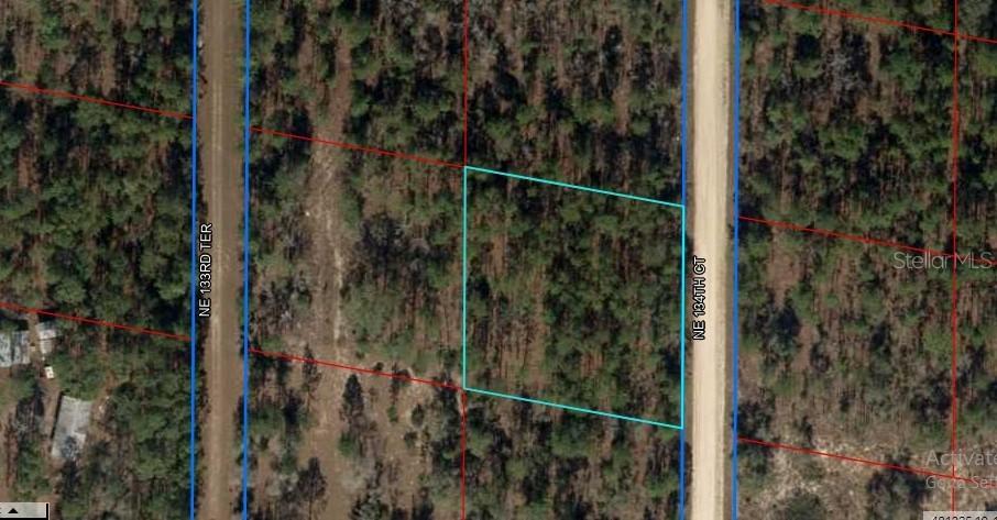 Northeast 134th Ct., Williston, FL 32696