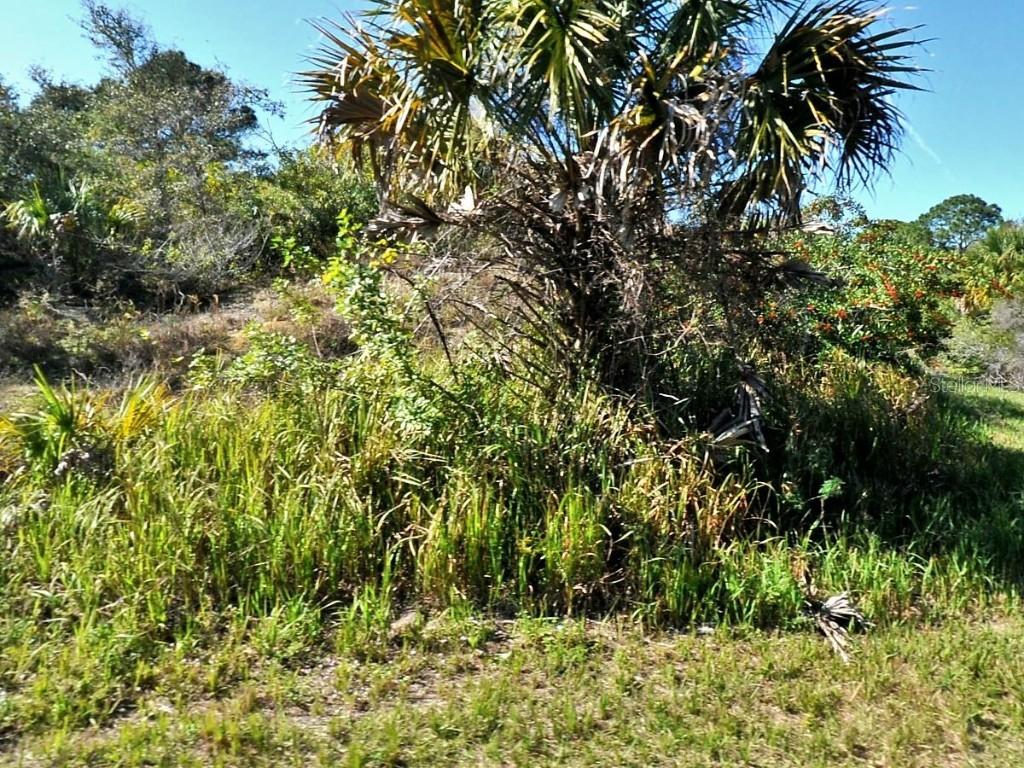 Patio Ter., North Port, FL 34286