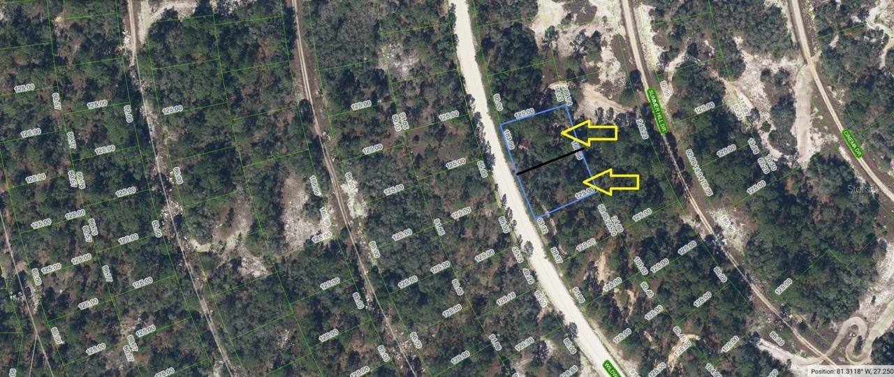363 Wildwood Dr., Lake Placid, FL 33852