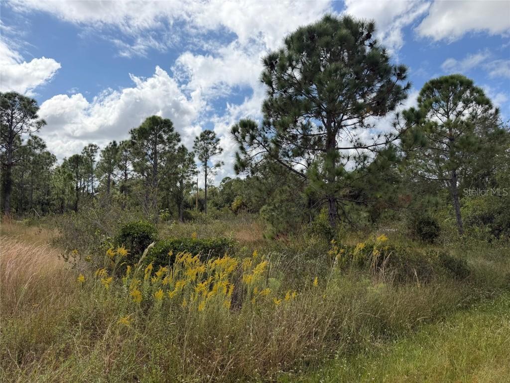 27409 Mandalay Dr., Punta Gorda, FL 33955