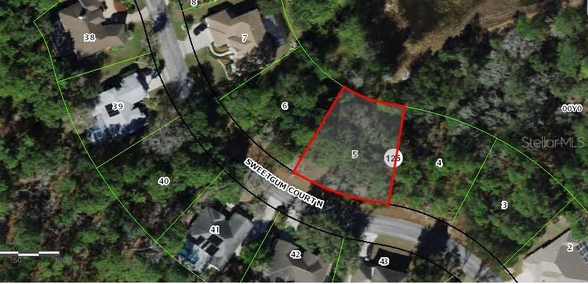 9 Sweetgum Ct., Homosassa, FL 34446