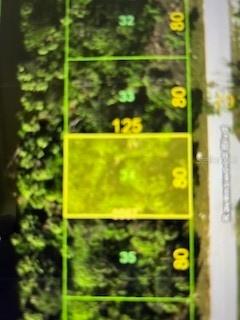 271 Ravenswood Blvd., Port Charlotte, FL 33954