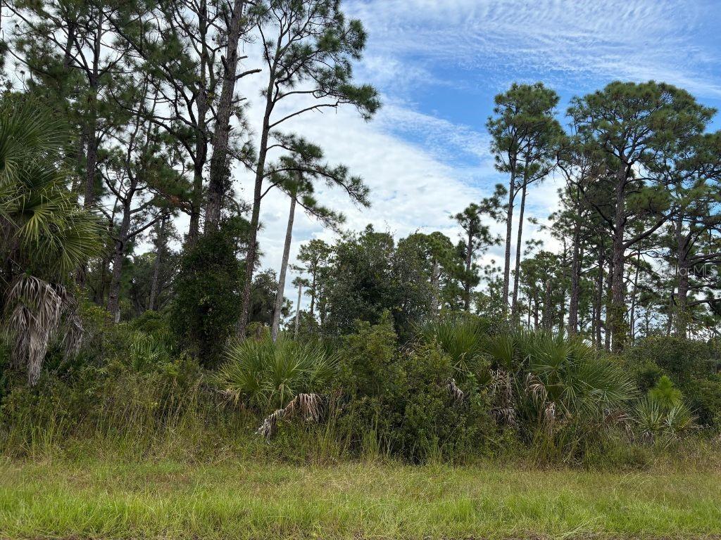 13458 Fairbanks Ave., Port Charlotte, FL 33953