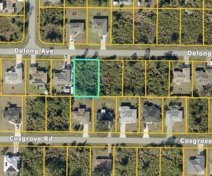 Delong Ave., North Port, FL 34291