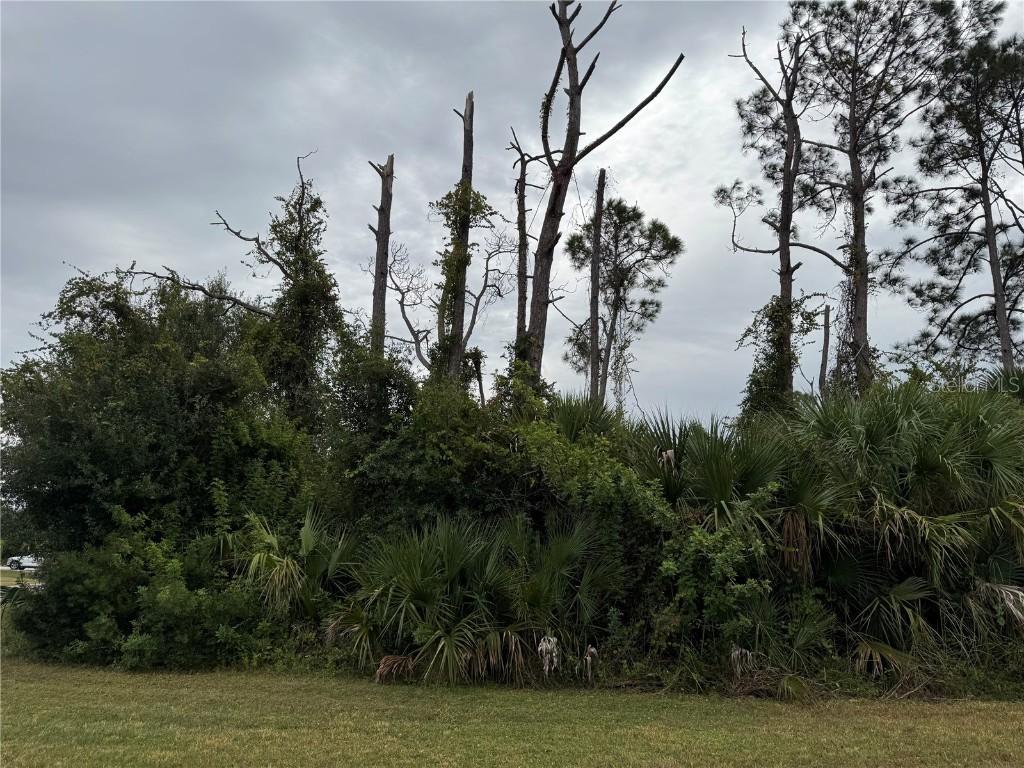 Amnesty Dr., North Port, FL 34288