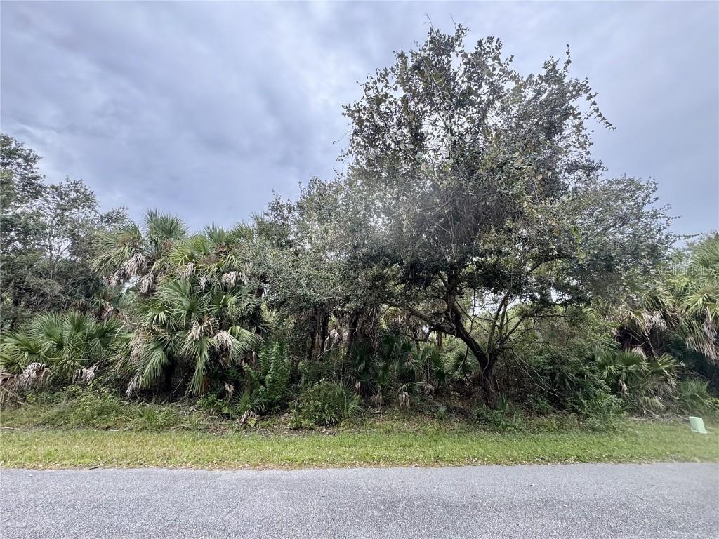 Rayfield Dr., North Port, FL 34291