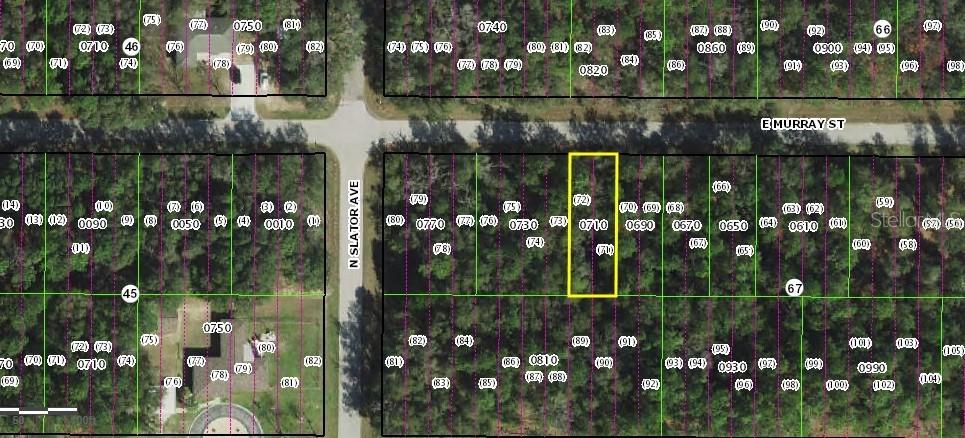 3212 E Murray St., Inverness, FL 34453