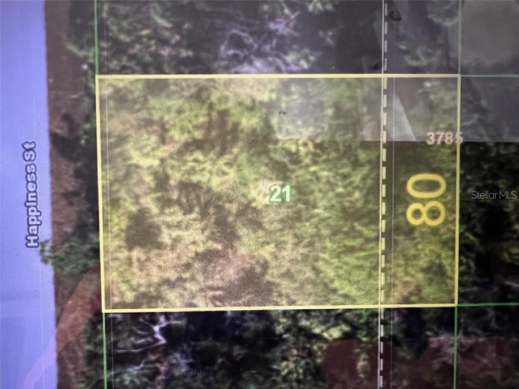 7168 Happiness St., Port Charlotte, FL 33981