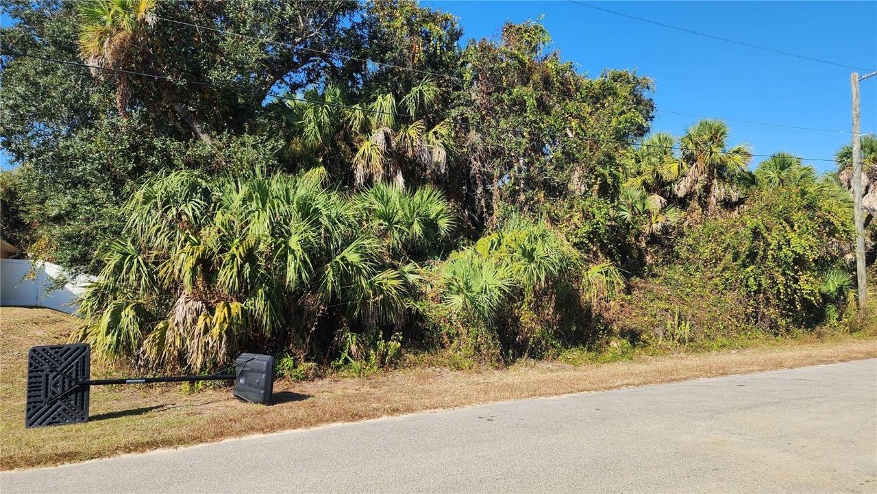 Andy Rd., North Port, FL 34288