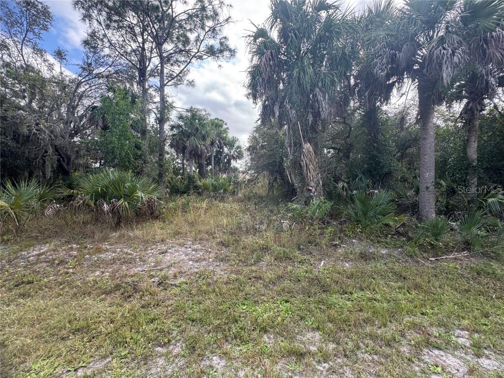 26129 Flower Rd., Punta Gorda, FL 33955