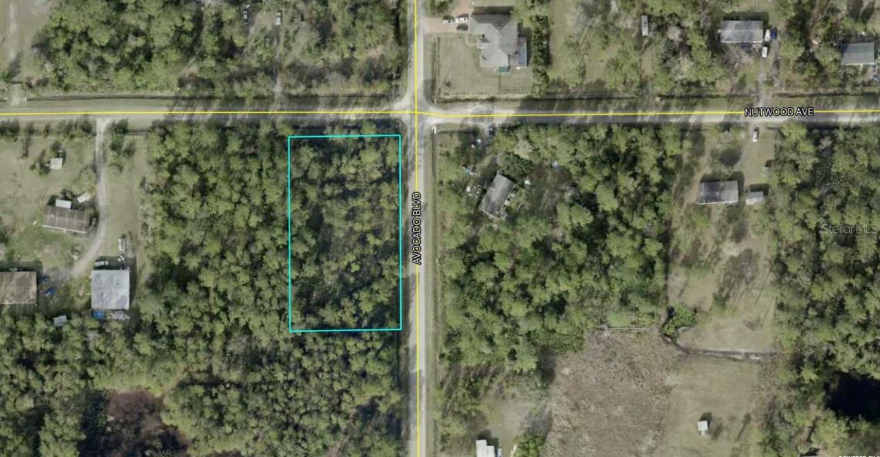 5958 Nutwood Ave., Bunnell, FL 32110