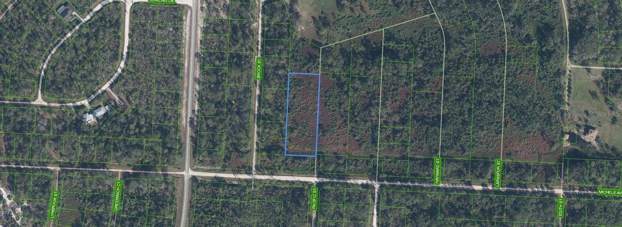 810 Pacific St., Lake Placid, FL 33852