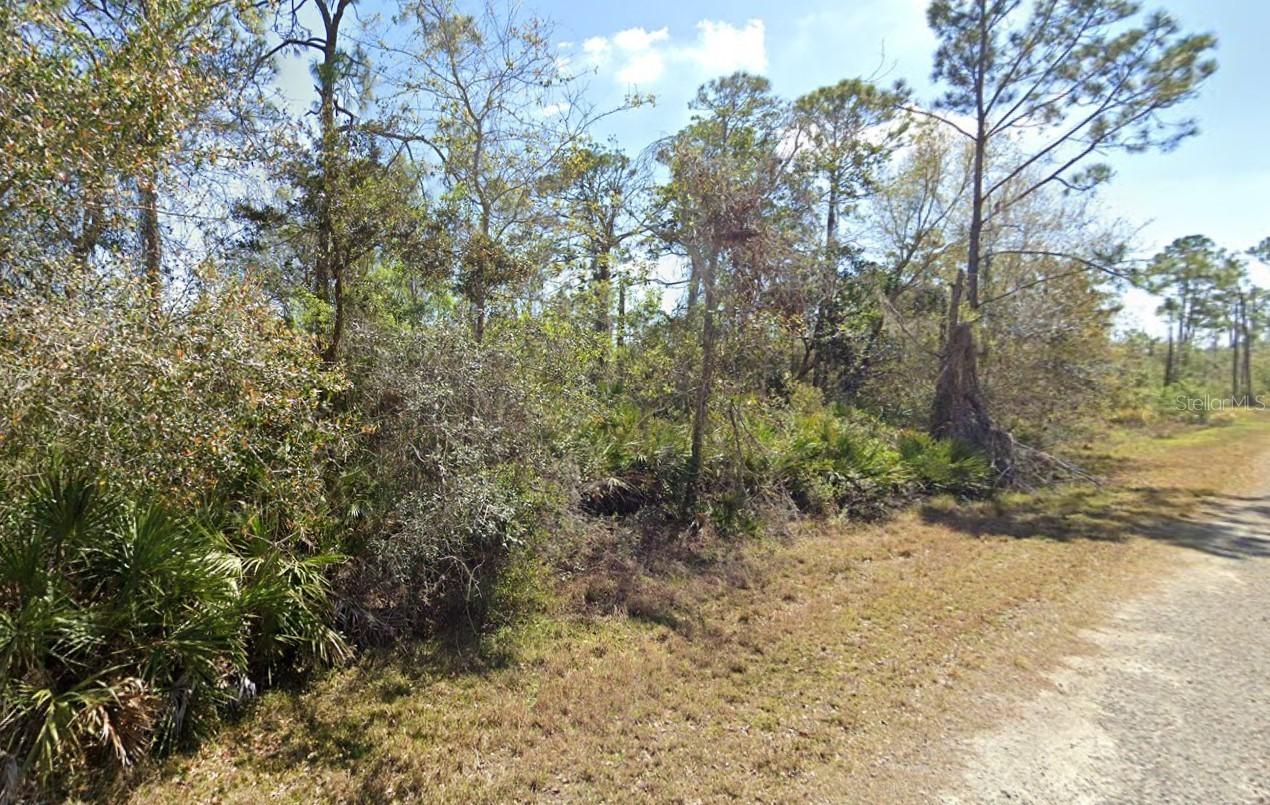 810 Pacific St., Lake Placid, FL 33852