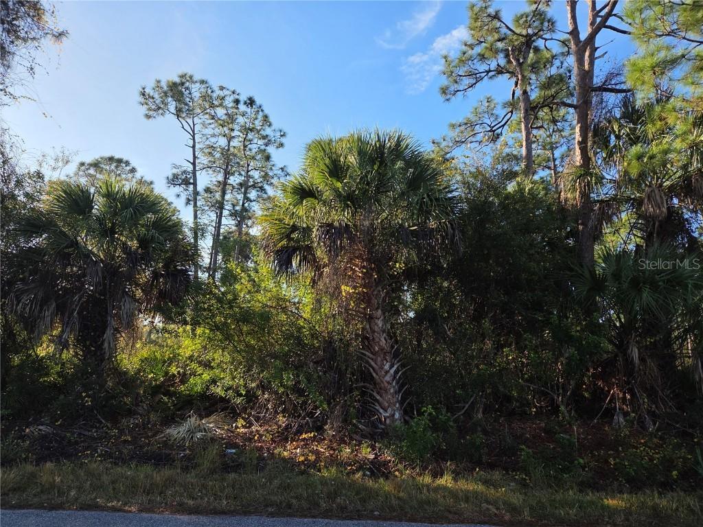 23507 Spencer Ct., Punta Gorda, FL 33980