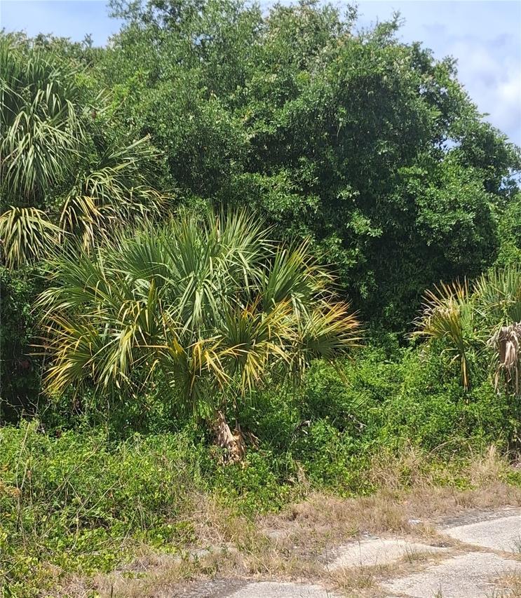 N Holloway Ave., North Port, FL 34288