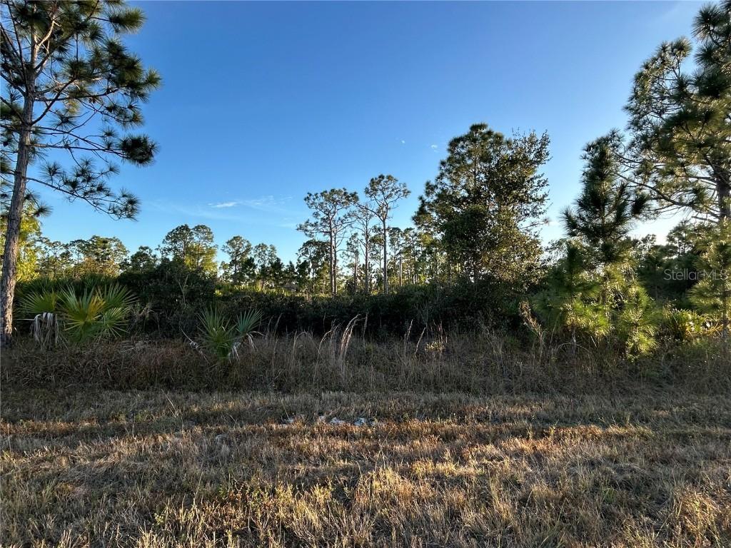 12157 Gisinger Blvd., Port Charlotte, FL 33981