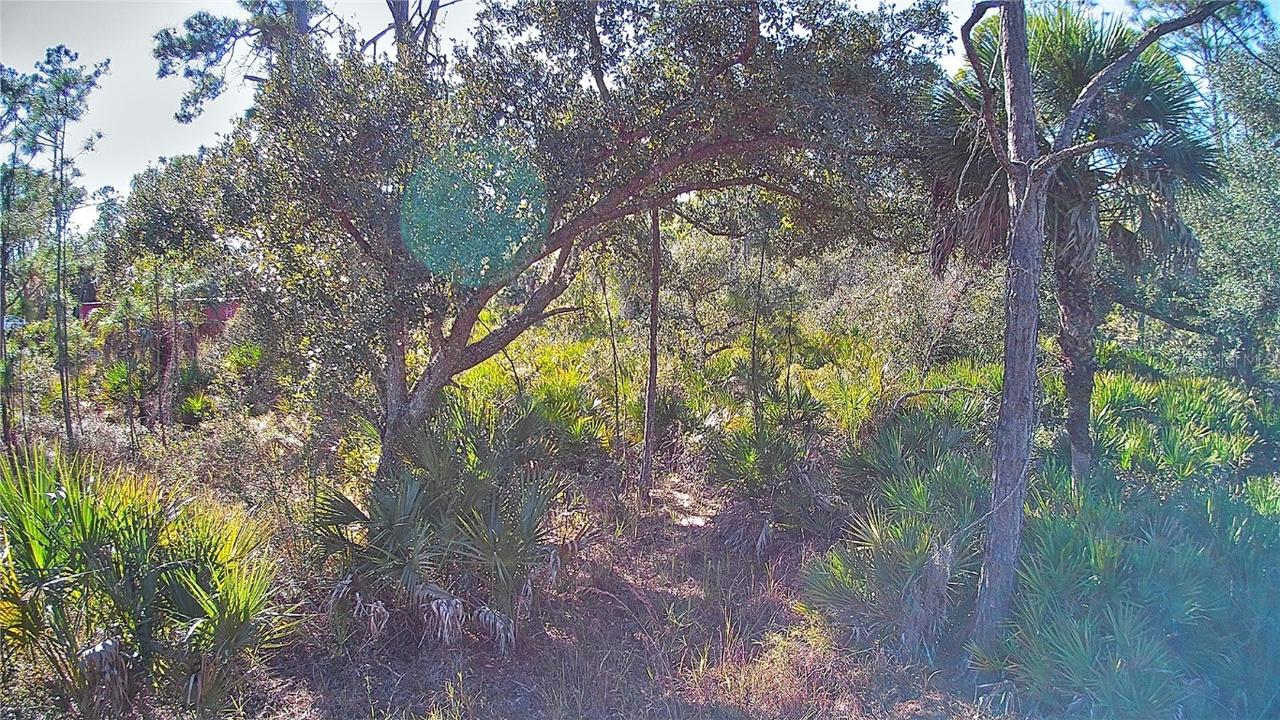 13093 Harbison Ave., Port Charlotte, FL 33953