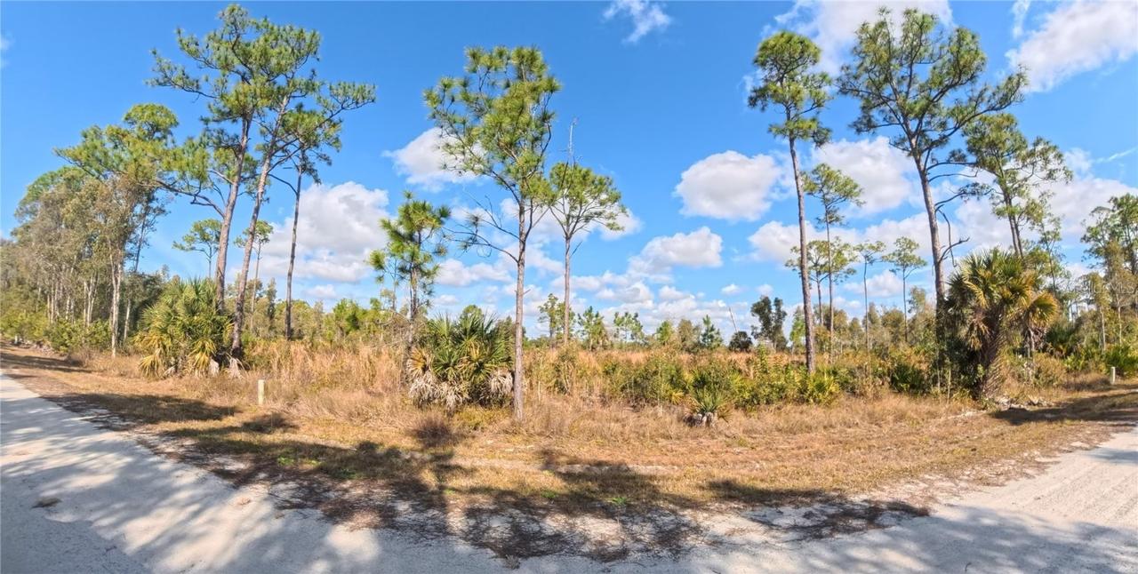 12196 Caravan Dr., Punta Gorda, FL 33955