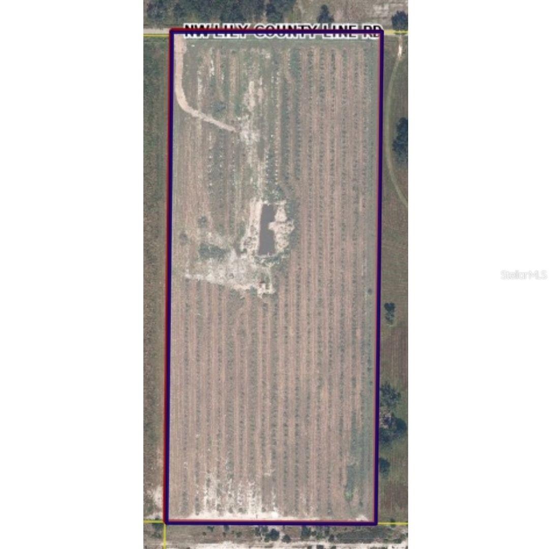 8153 Lily Co Rd, Arcadia, FL 34266