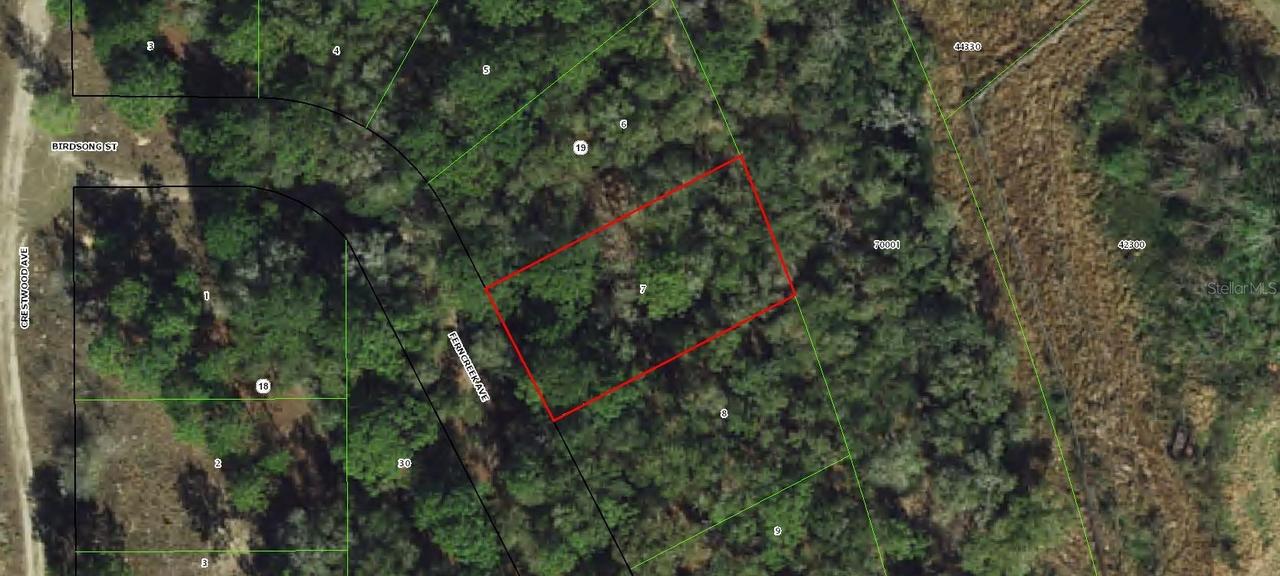 1006 Ferncreek Ave., Inverness, FL 34453