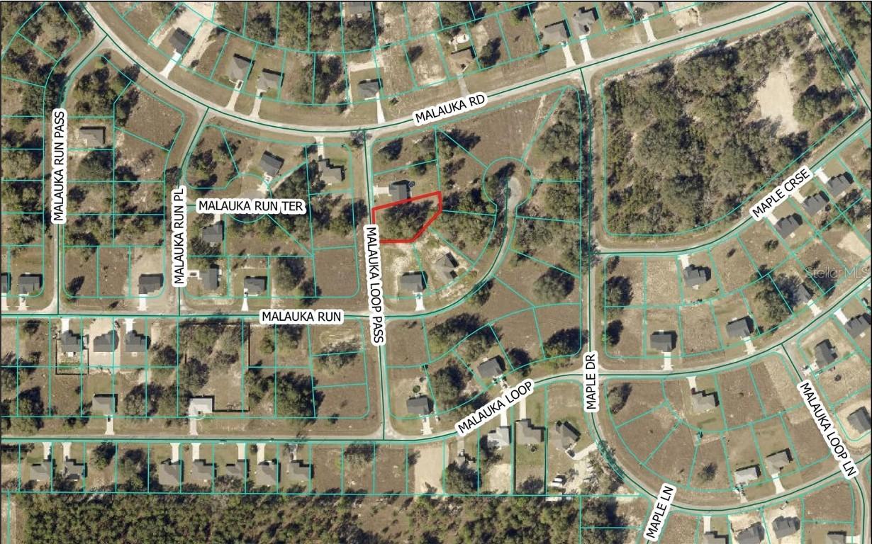 Malauka Loop Pass, Ocklawaha, FL 32179