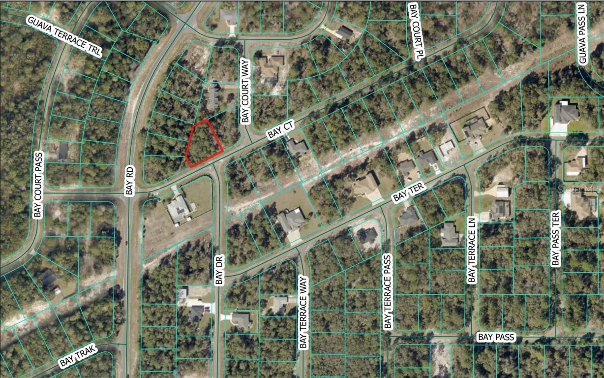 Bay Ct., Ocklawaha, FL 32179