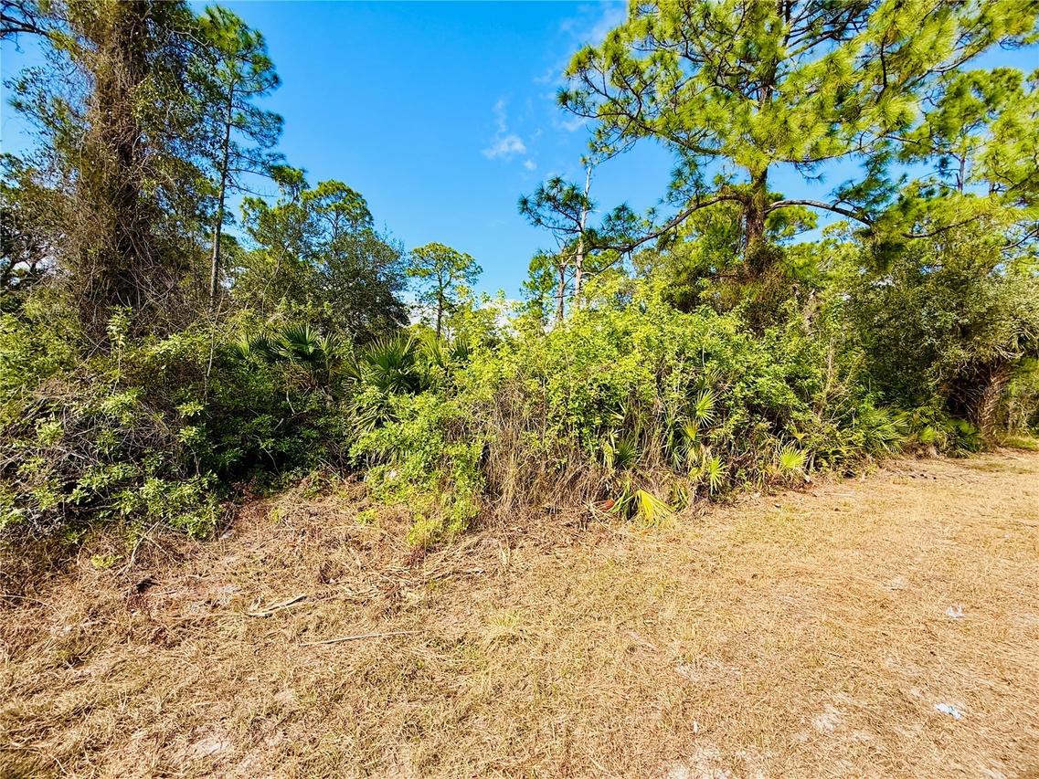 2007 Truman Ave., Alva, FL 33920