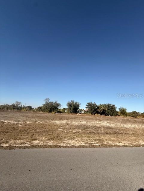 1007 NE 23rd St., Cape Coral, FL 33909