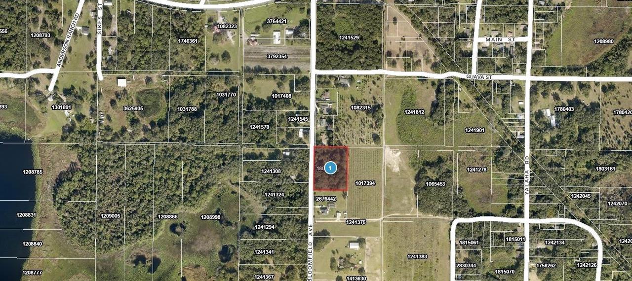26714 Bloomfield Ave., Yalaha, FL 34797
