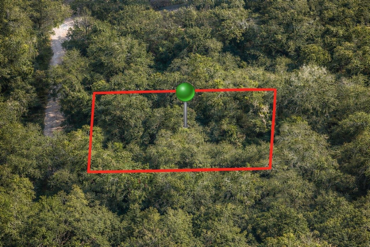 6619 N Canopy Ter., Hernando, FL 34442