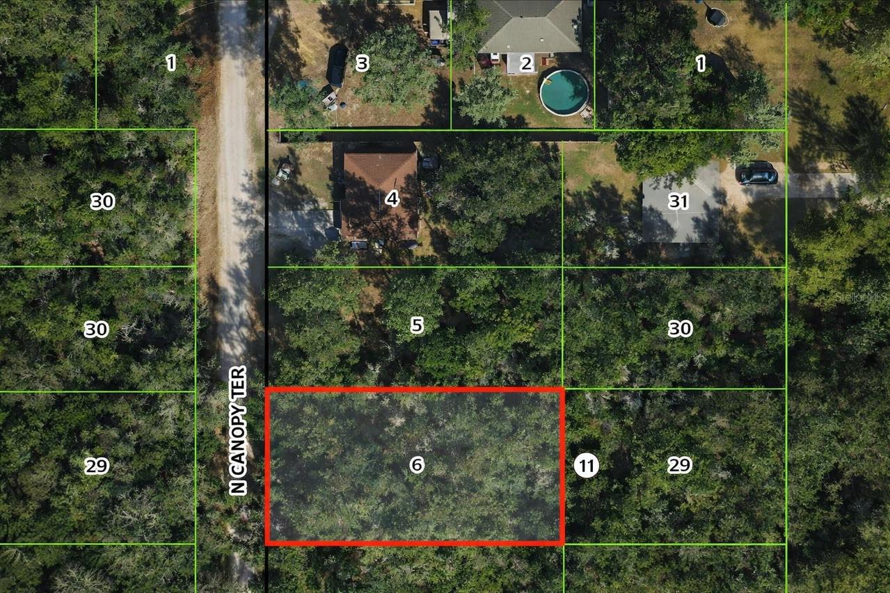 6619 N Canopy Ter., Hernando, FL 34442