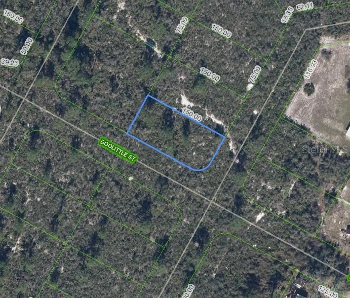 [Address Hidden by Seller], Lake Placid, FL 33852