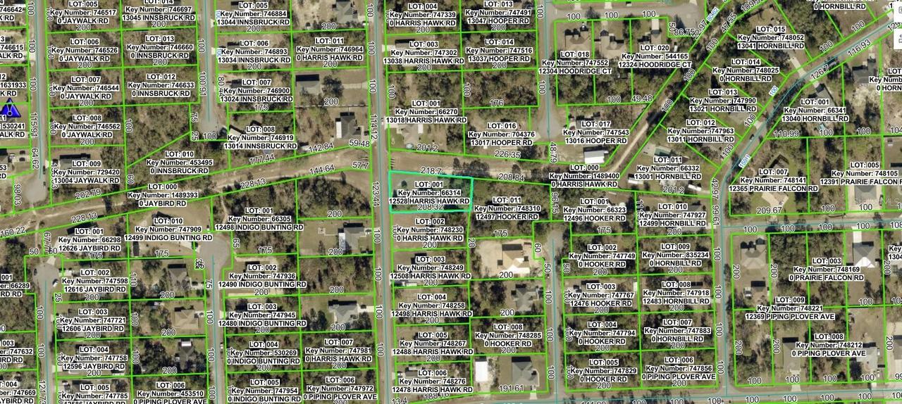12528 Harris Hawk Rd., Weeki Wachee, FL 34614