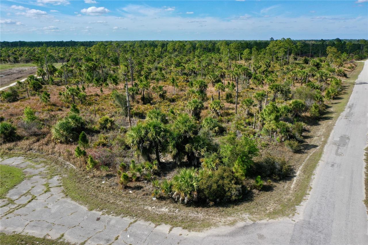 Wild Ct., North Port, FL 34288