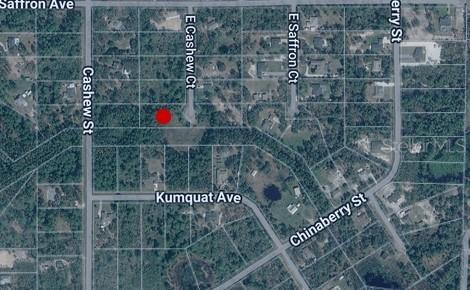 42310 E Cashew Ct., Eustis, FL 32736