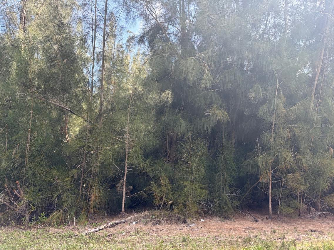 12088 Estrella Blvd., Punta Gorda, FL 33955