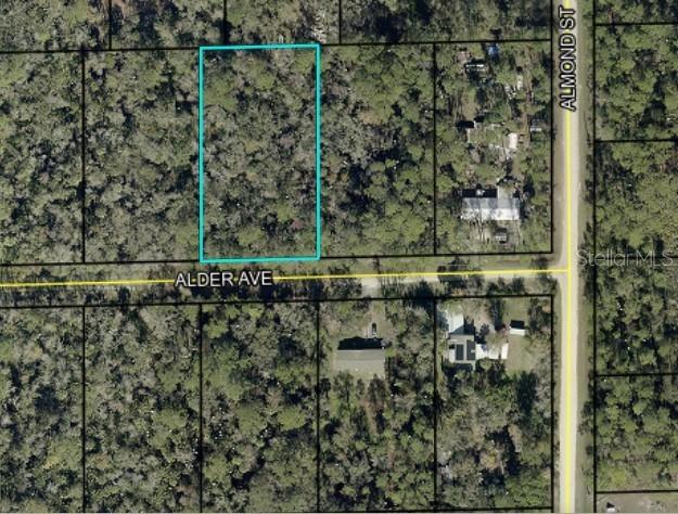 6296 Alder Ave., Bunnell, FL 32110