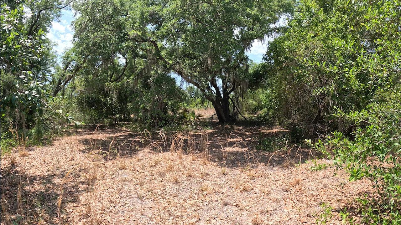 Lot 25 Hamer Ter., North Port, FL 34291