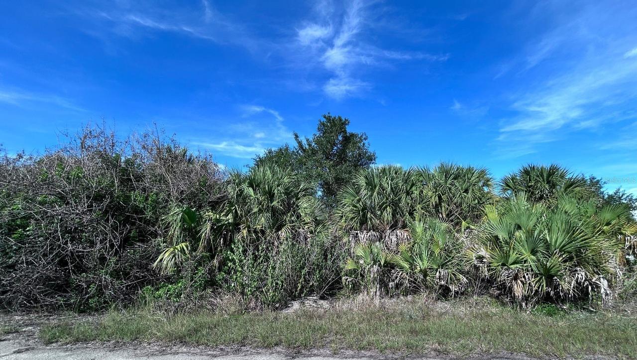 Bigflower Ave., North Port, FL 34288