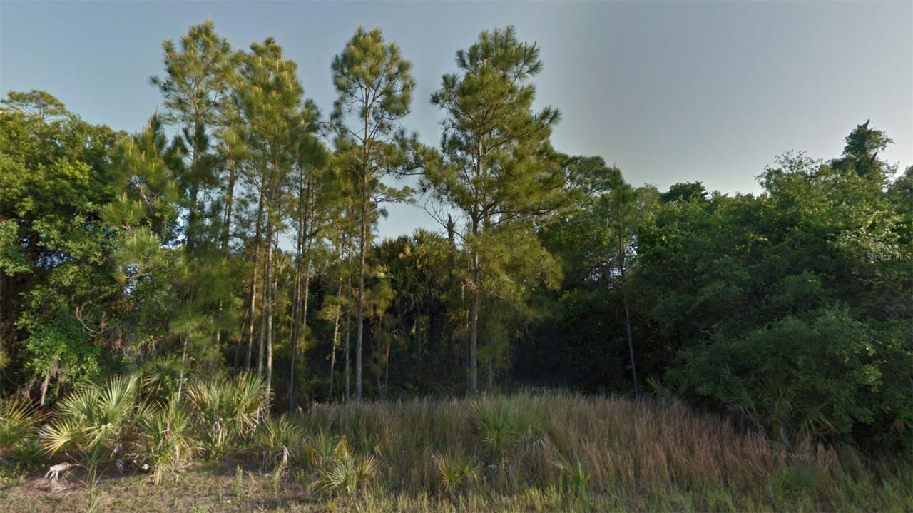 Crimsonglory Rd., North Port, FL 34288