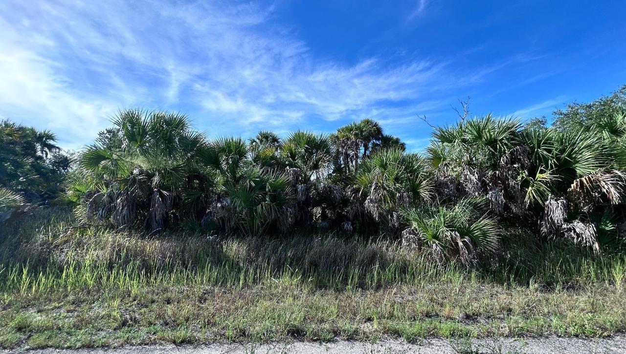 Crimsonglory Rd., North Port, FL 34288