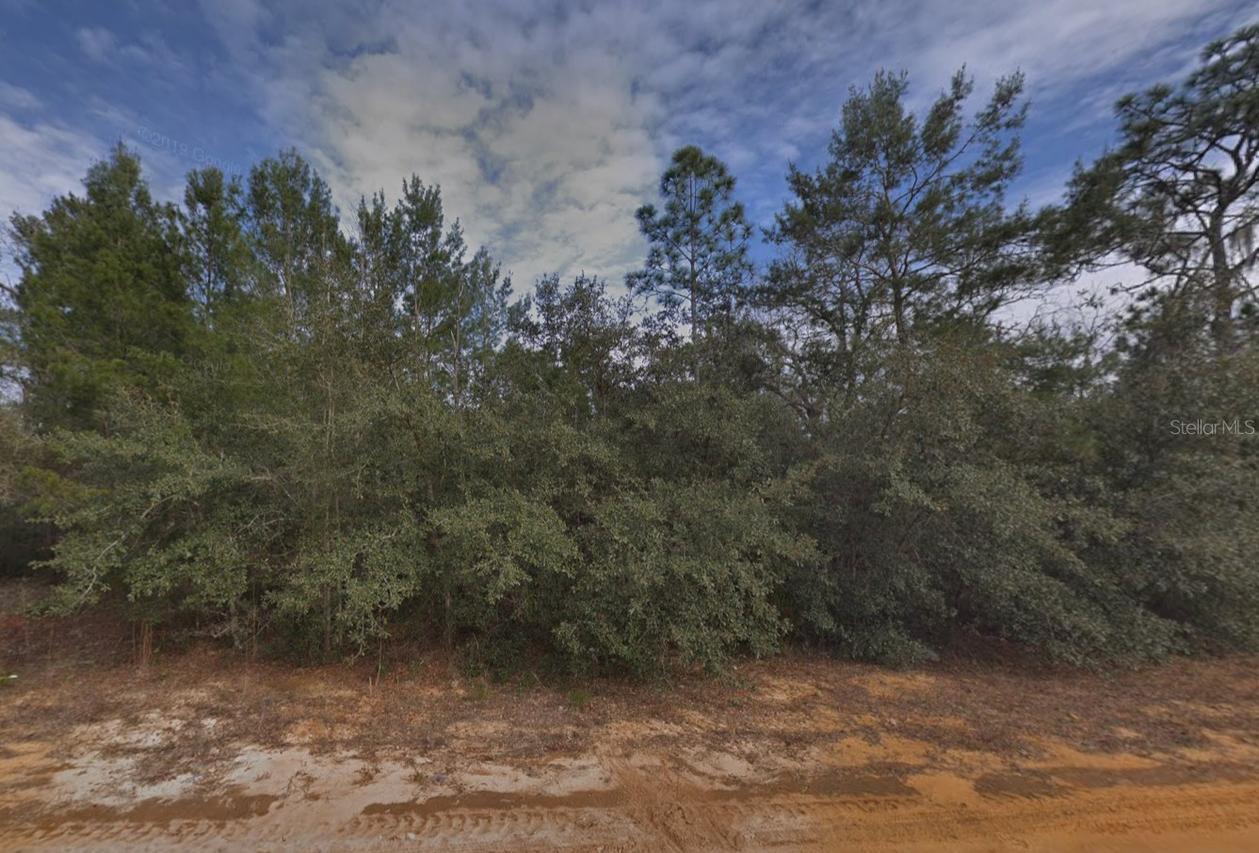 Creager Ave., Interlachen, FL 32148