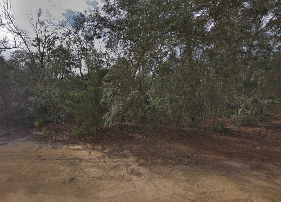 917 David Ave., Interlachen, FL 32148
