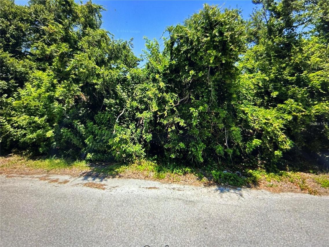 13357 Amaryllis Cir Cir., Port Charlotte, FL 33981
