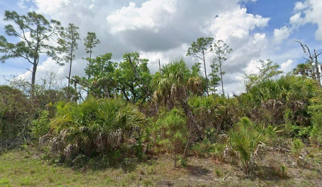 Lot 17 Firebird Rd., North Port, FL 34288