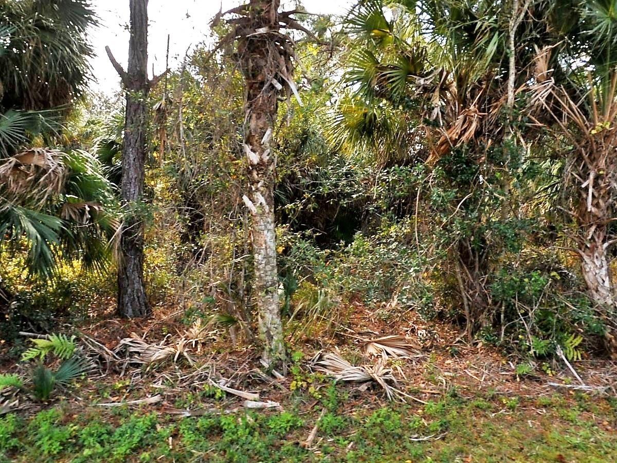 Vogler Ln., North Port, FL 34286