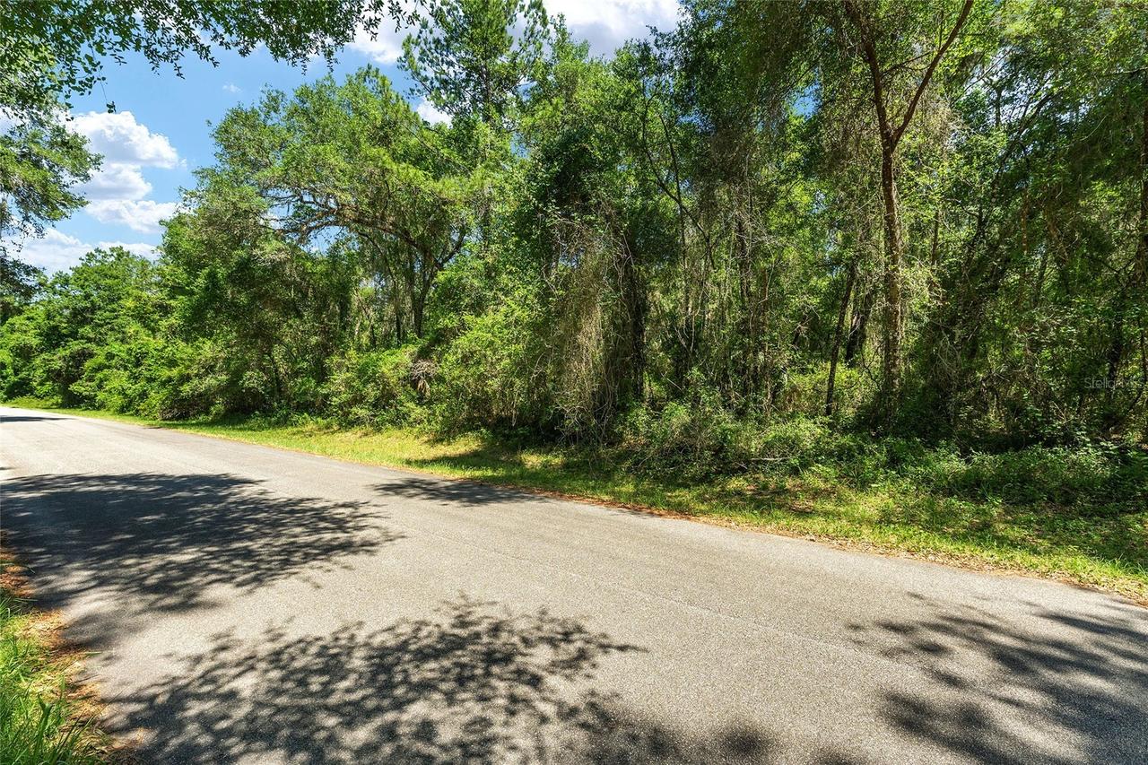 905 E Abend Dr., Dunnellon, FL 34434