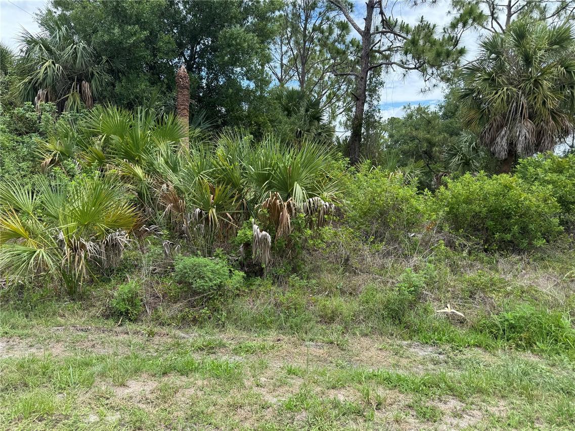 22404 Seyburn Ter., Port Charlotte, FL 33954