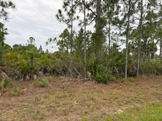 12141 Mc Elroy Ave., Port Charlotte, FL 33981